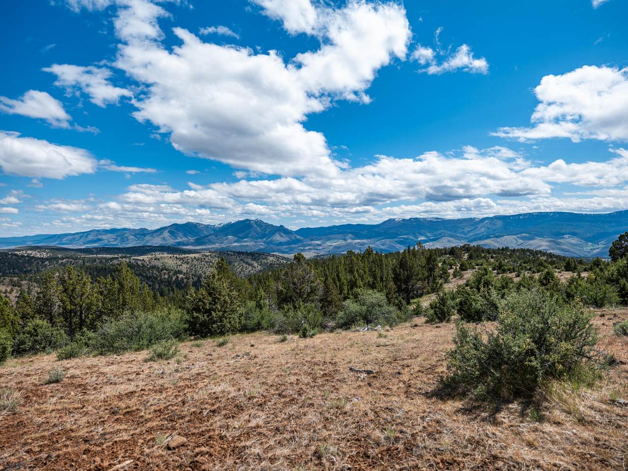  Belshaw Creek Road - Photo 1