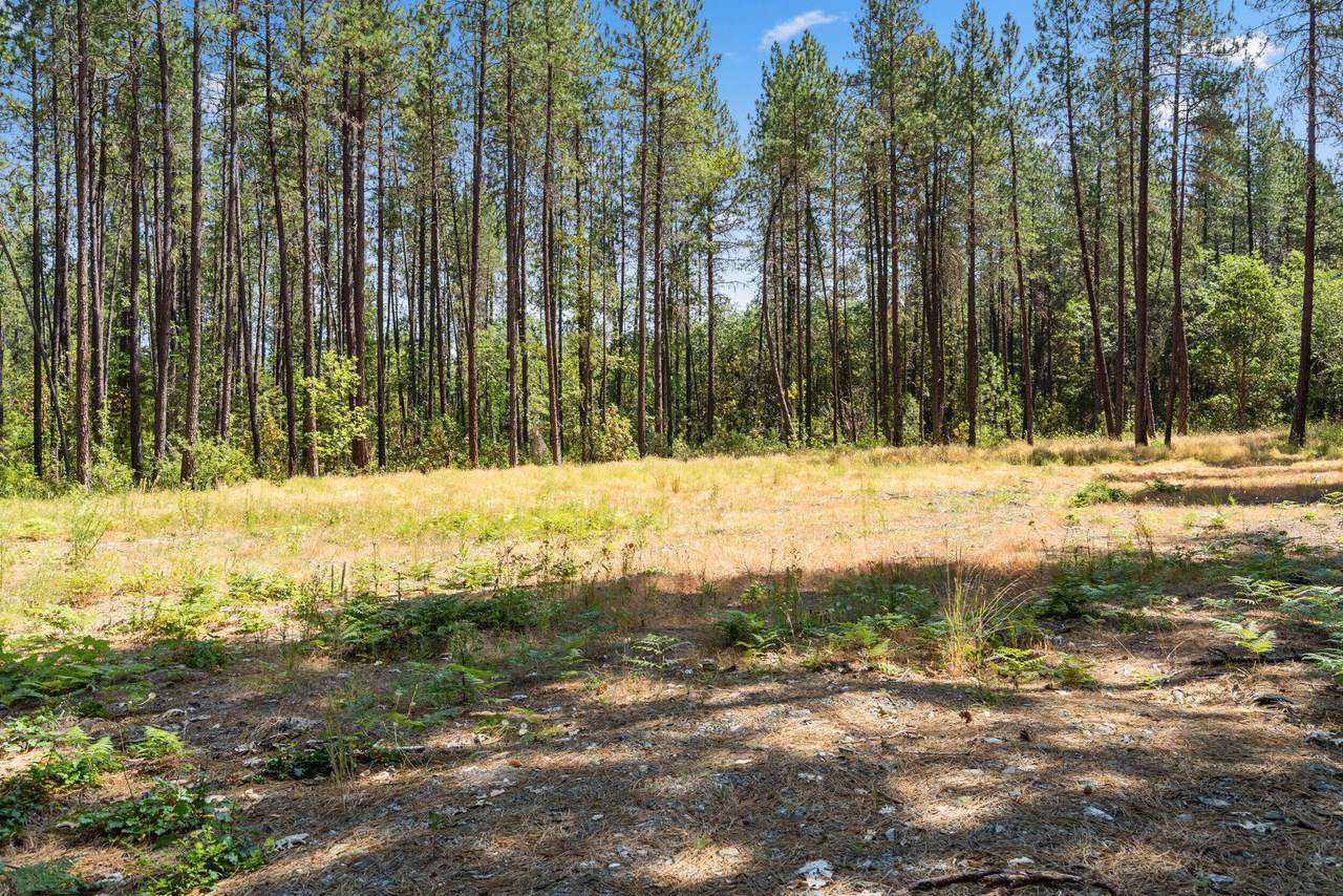 2376 Lonnon Way - Photo 1