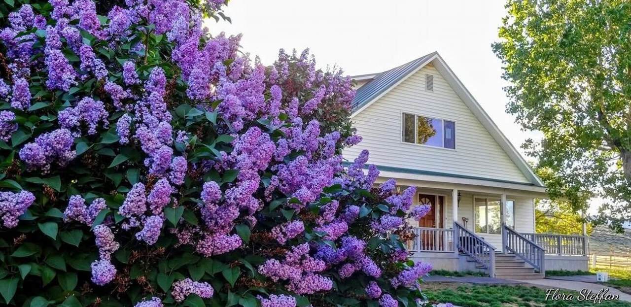 39042 Clover Flat Road - Photo 1