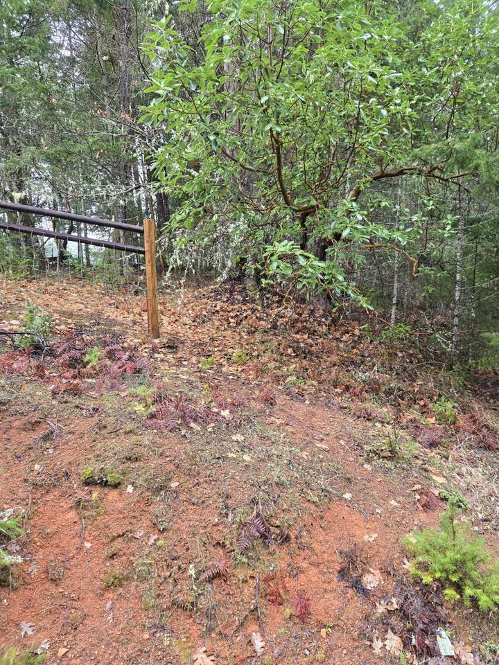 0 Mcmullen Creek Road - Photo 1