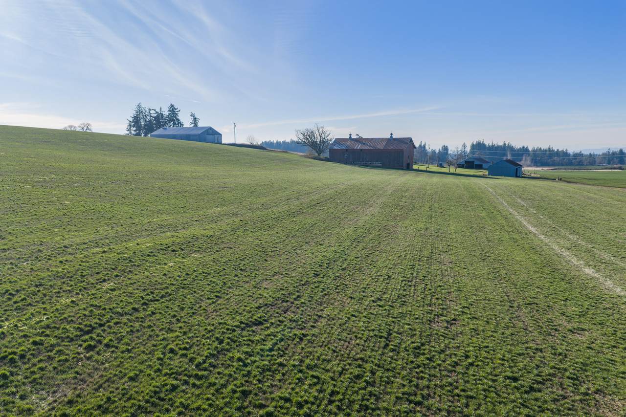 39986 Gisler Road - Photo 1