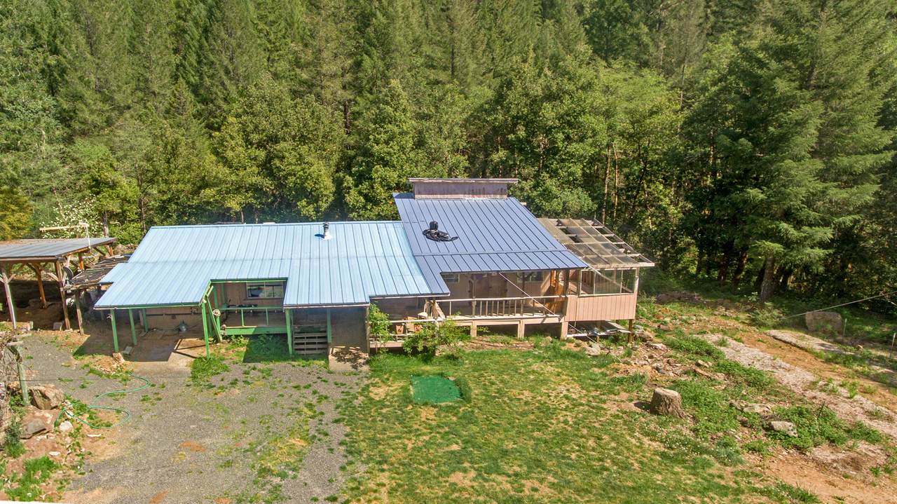 437 Little Grayback Road - Photo 1