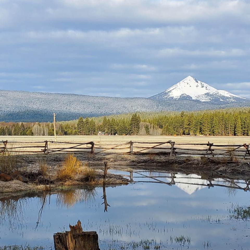 24850 Westside Road - Photo 1