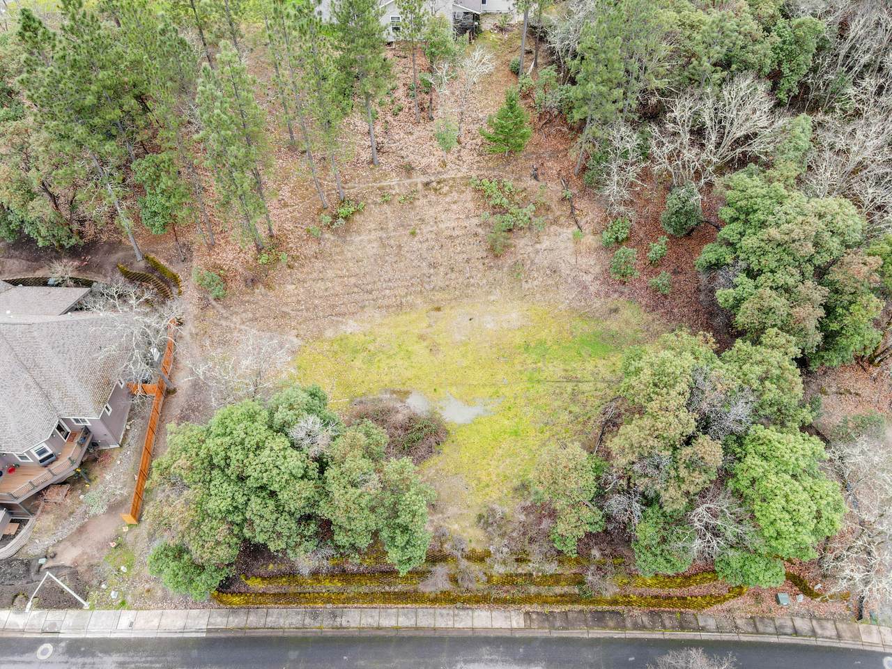 2234 Linden Lane - Photo 1