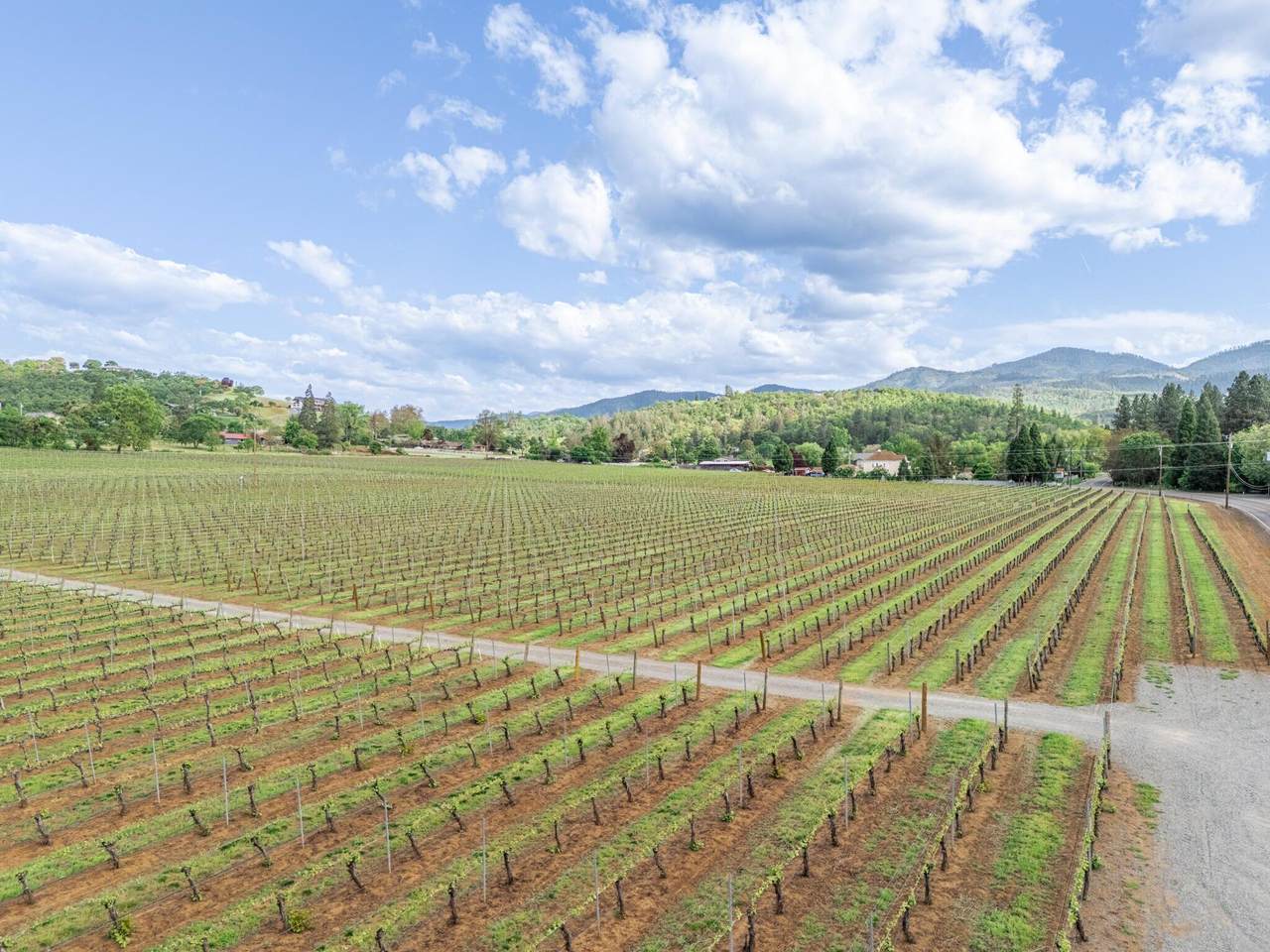 0 Griffin Creek Road - Photo 1