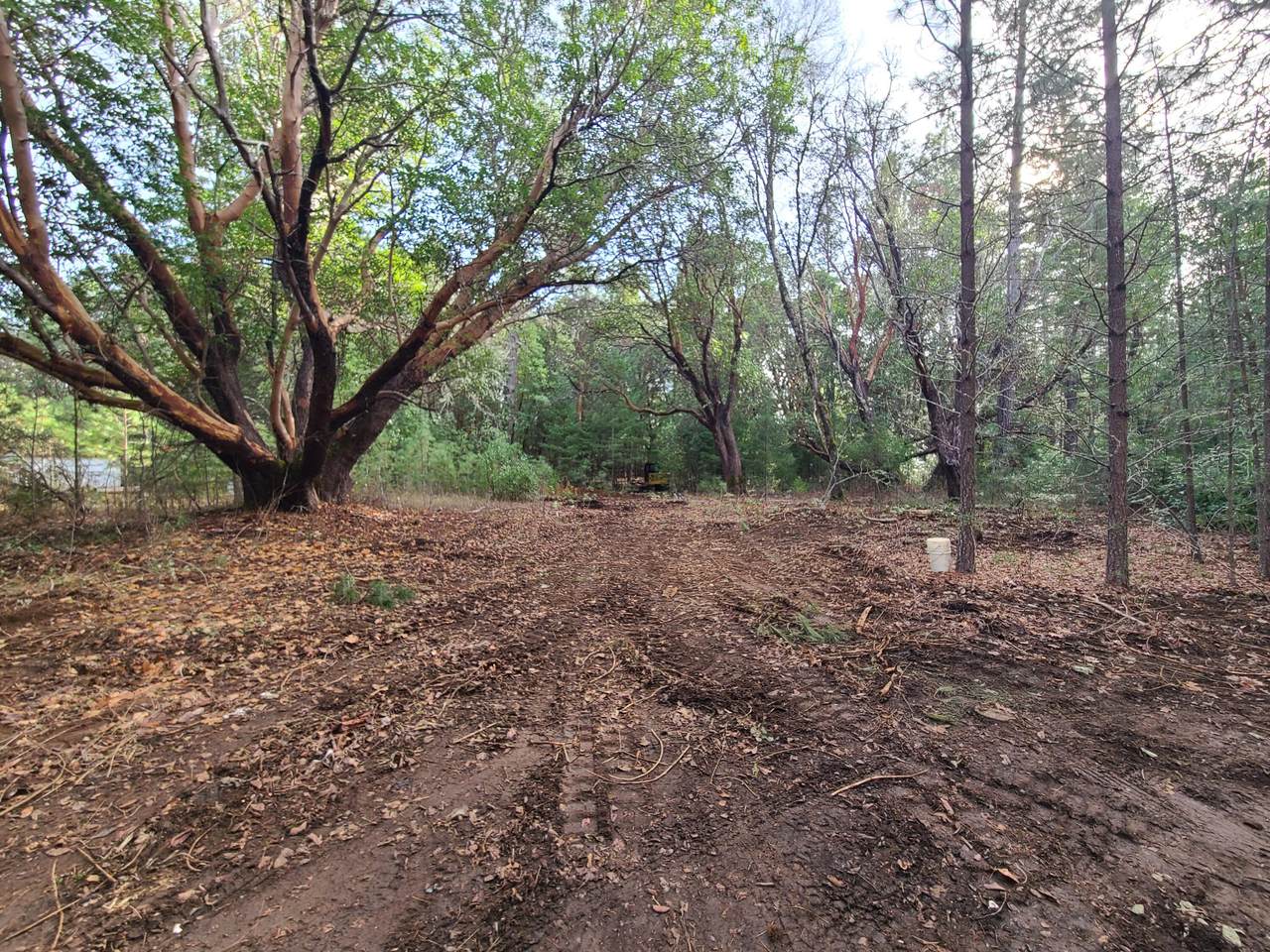  Caves Hwy Highway - Photo 1