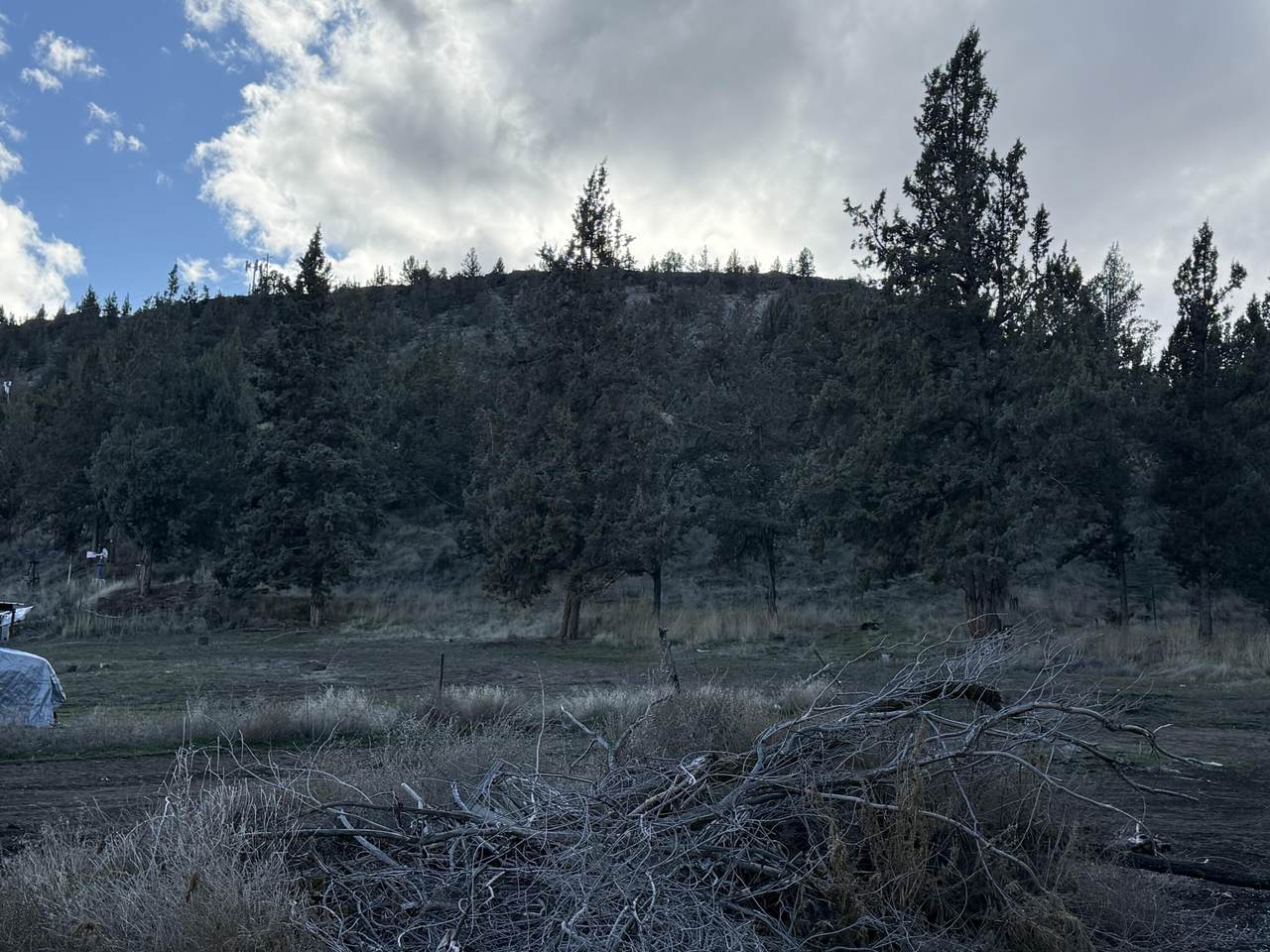 625 Crestview Road - Photo 1