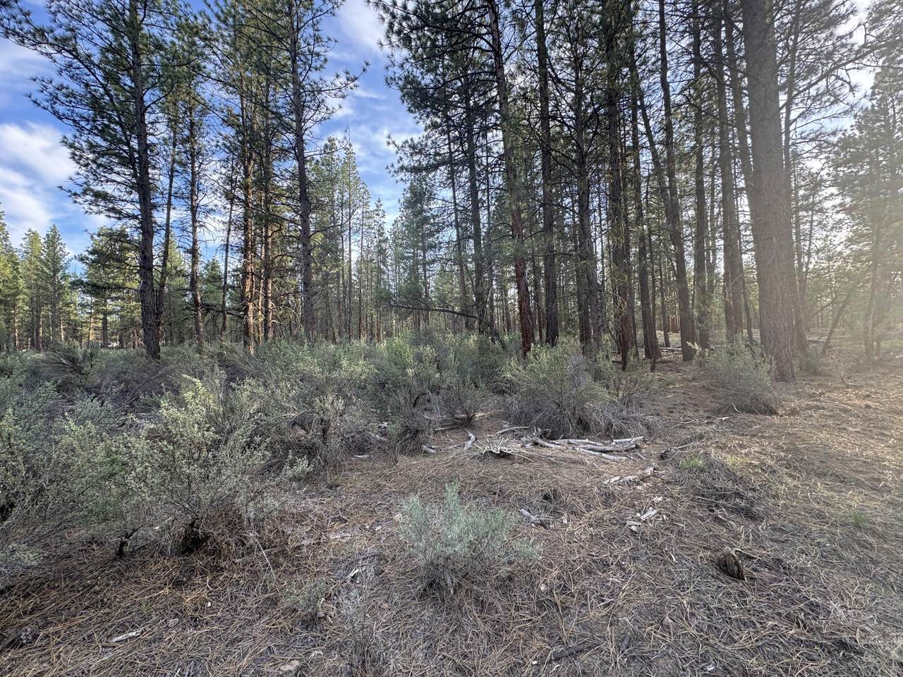 0 Silver Fox Lane - Photo 1