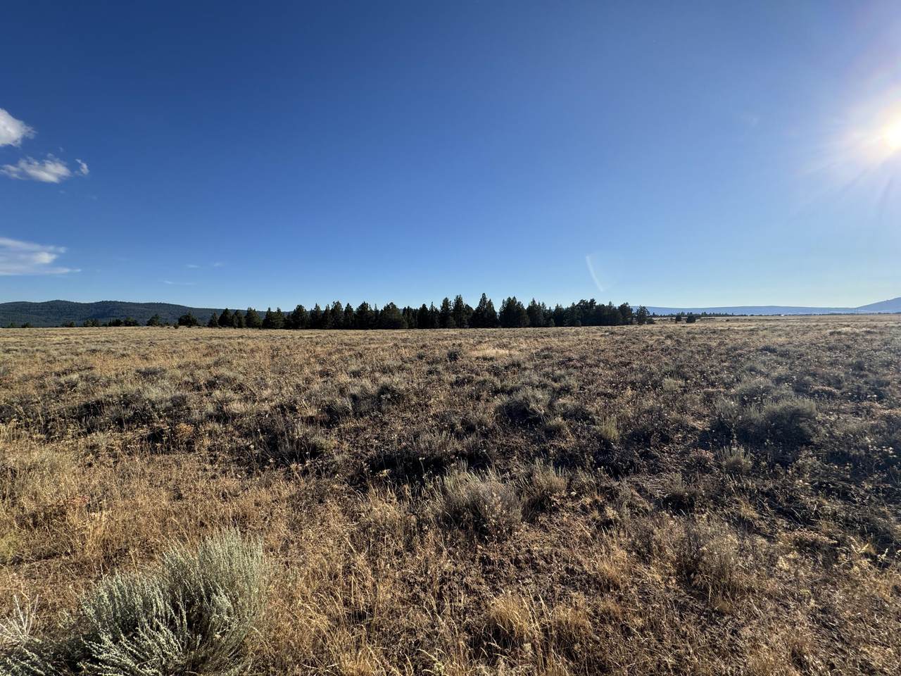 0 Rim Drive - Photo 1