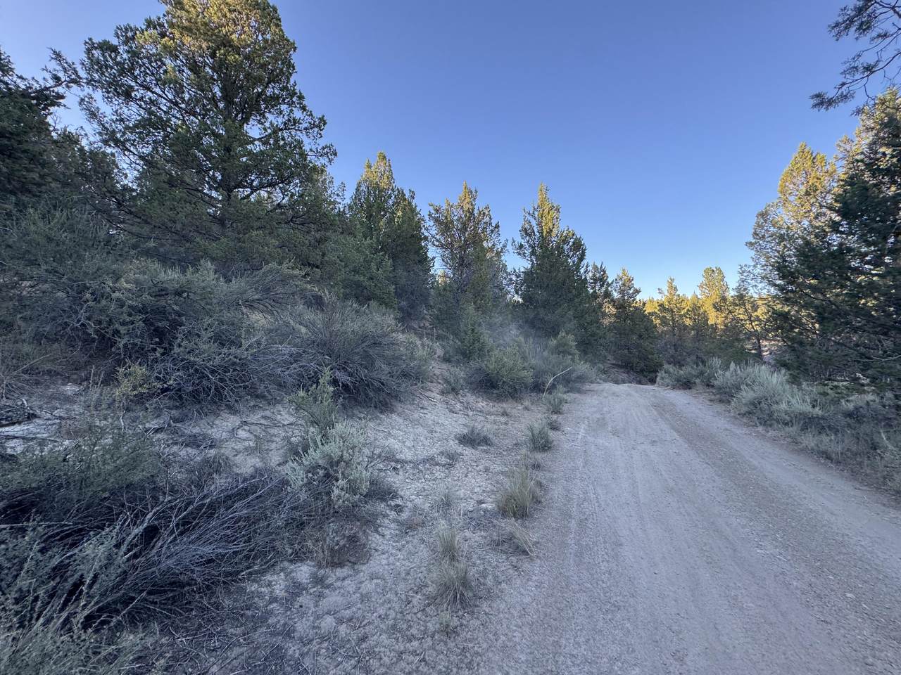 0 Shasta - Photo 1