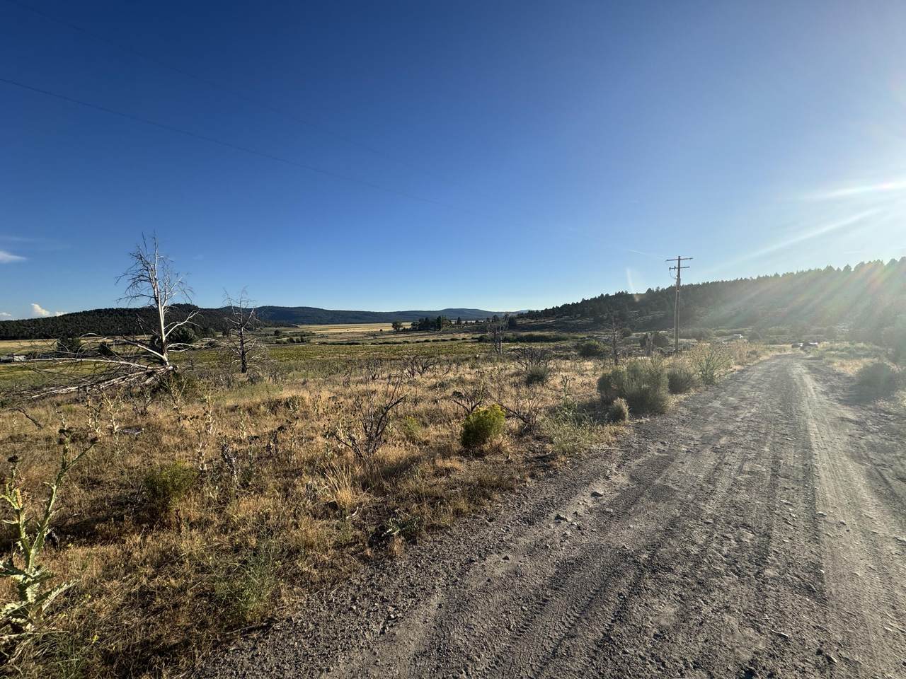 https://bt-photos.global.ssl.fastly.net/coar/1280_boomver_1_220216303-2.jpg