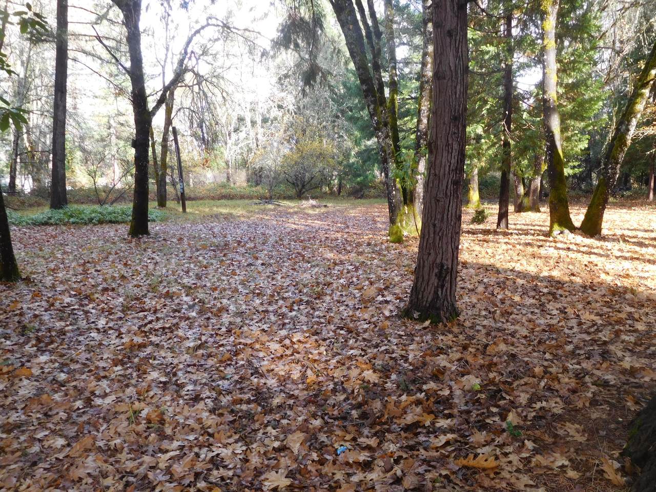 https://bt-photos.global.ssl.fastly.net/coar/1280_boomver_1_220216622-2.jpg