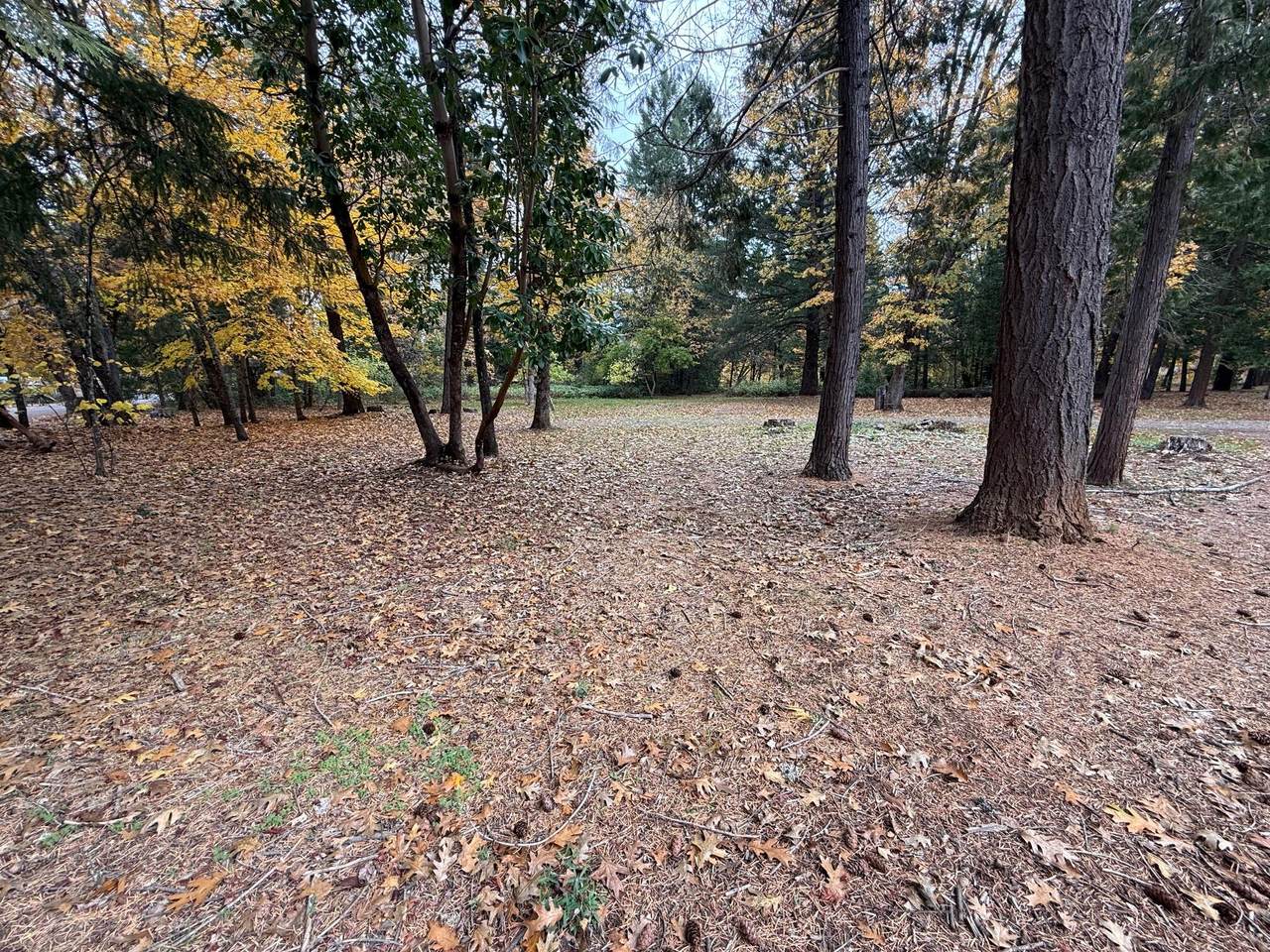 https://bt-photos.global.ssl.fastly.net/coar/1280_boomver_1_220216622-2.jpg