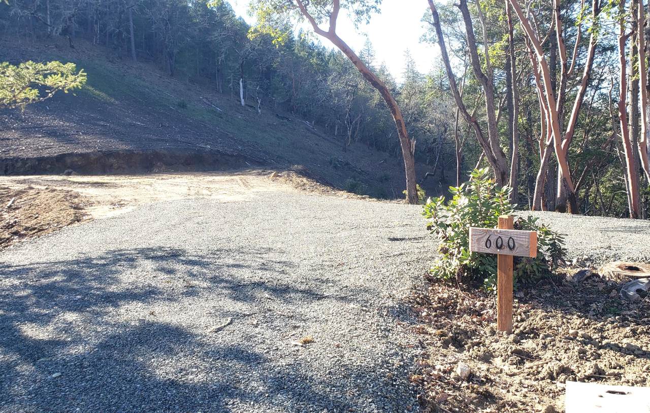  Messinger Road - Photo 1