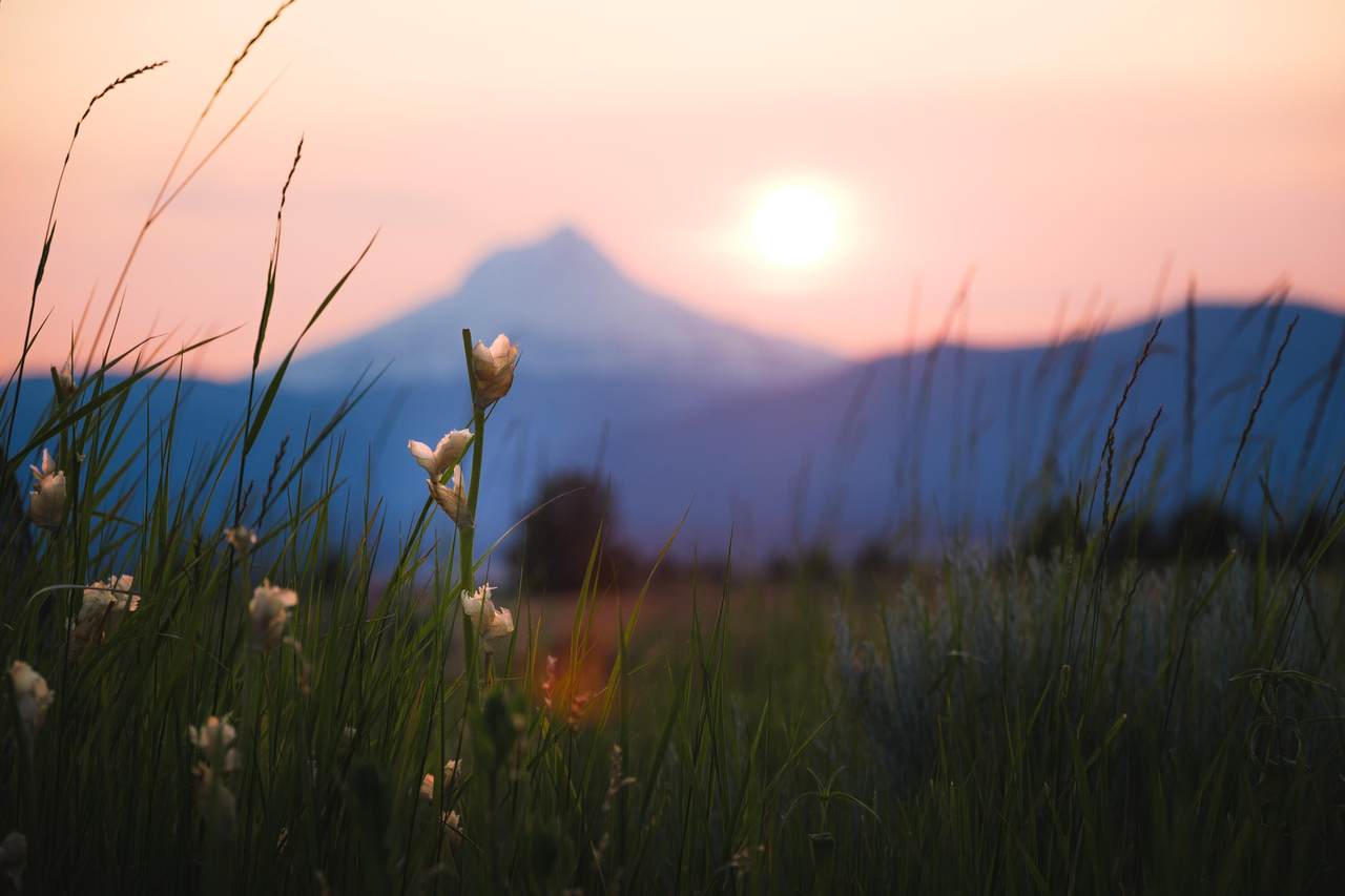 https://bt-photos.global.ssl.fastly.net/coar/1280_boomver_1_220217319-2.jpg