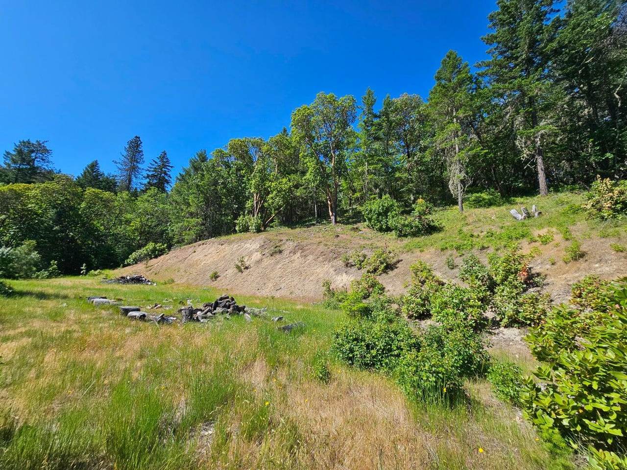  Shadow Mountain Way - Photo 1