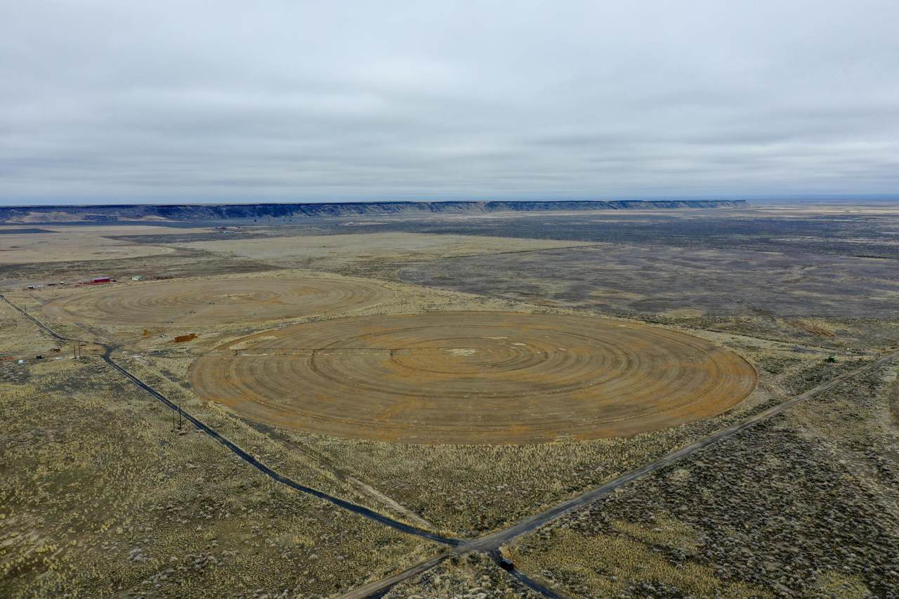 31597 Dog Mountain Lane - Photo 1