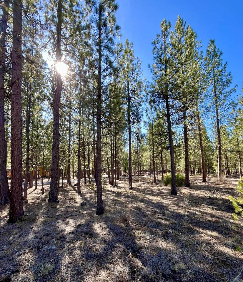 14171 Whitewater Loop - Photo 1