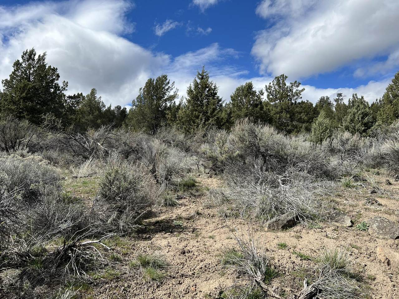 0 Shasta Street - Photo 1