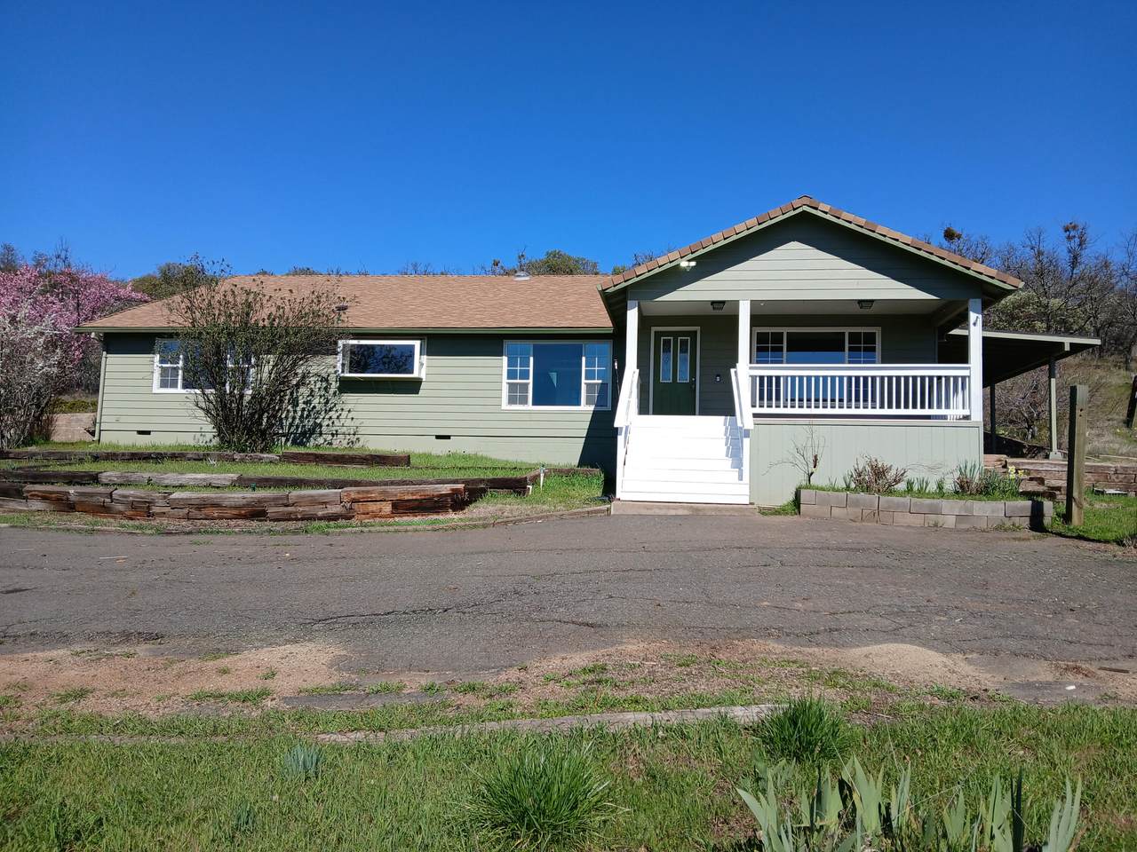 1360 Linn Road - Photo 1