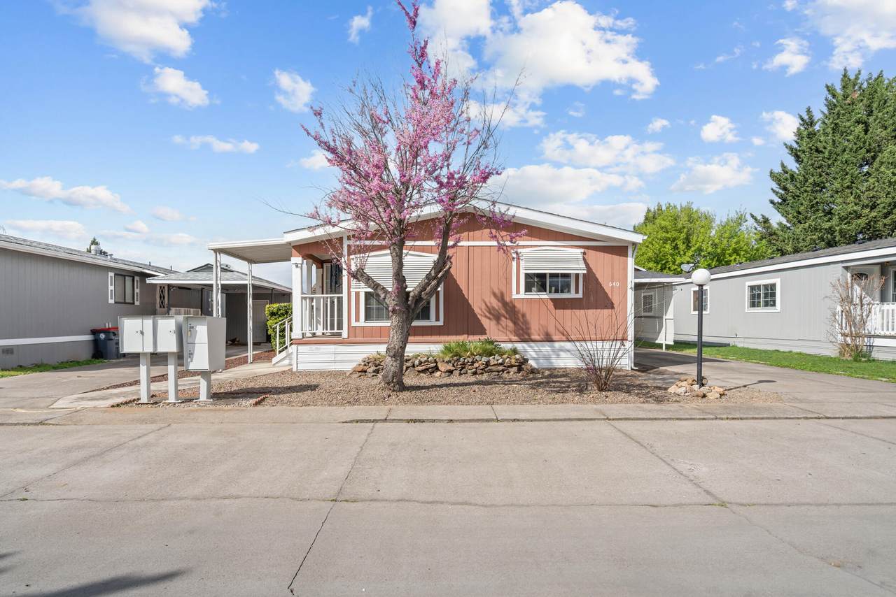 640 Hedy Jayne - Photo 1