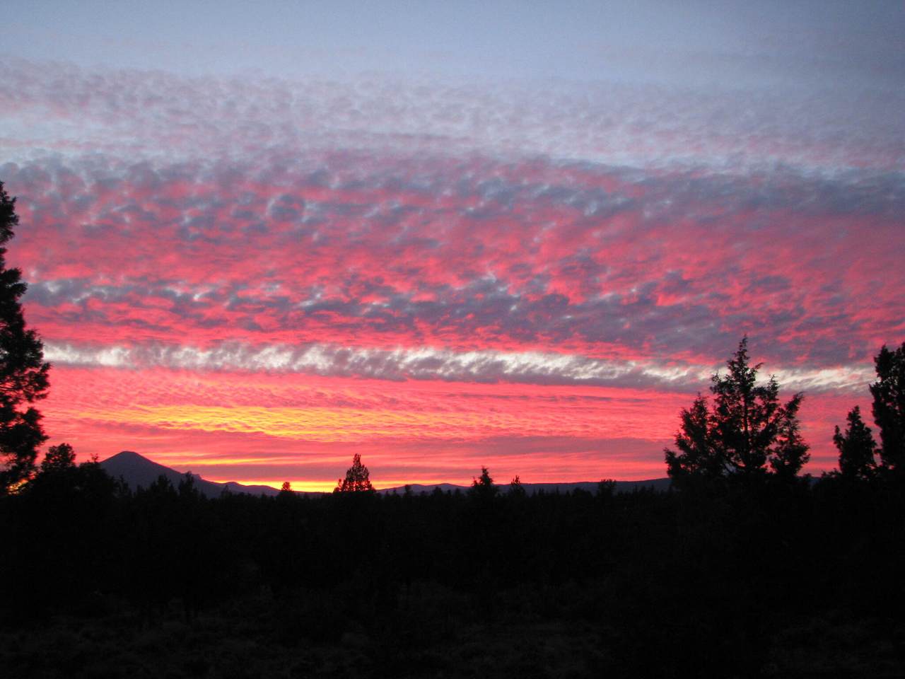 https://bt-photos.global.ssl.fastly.net/coar/1280_boomver_1_220218434-2.jpg