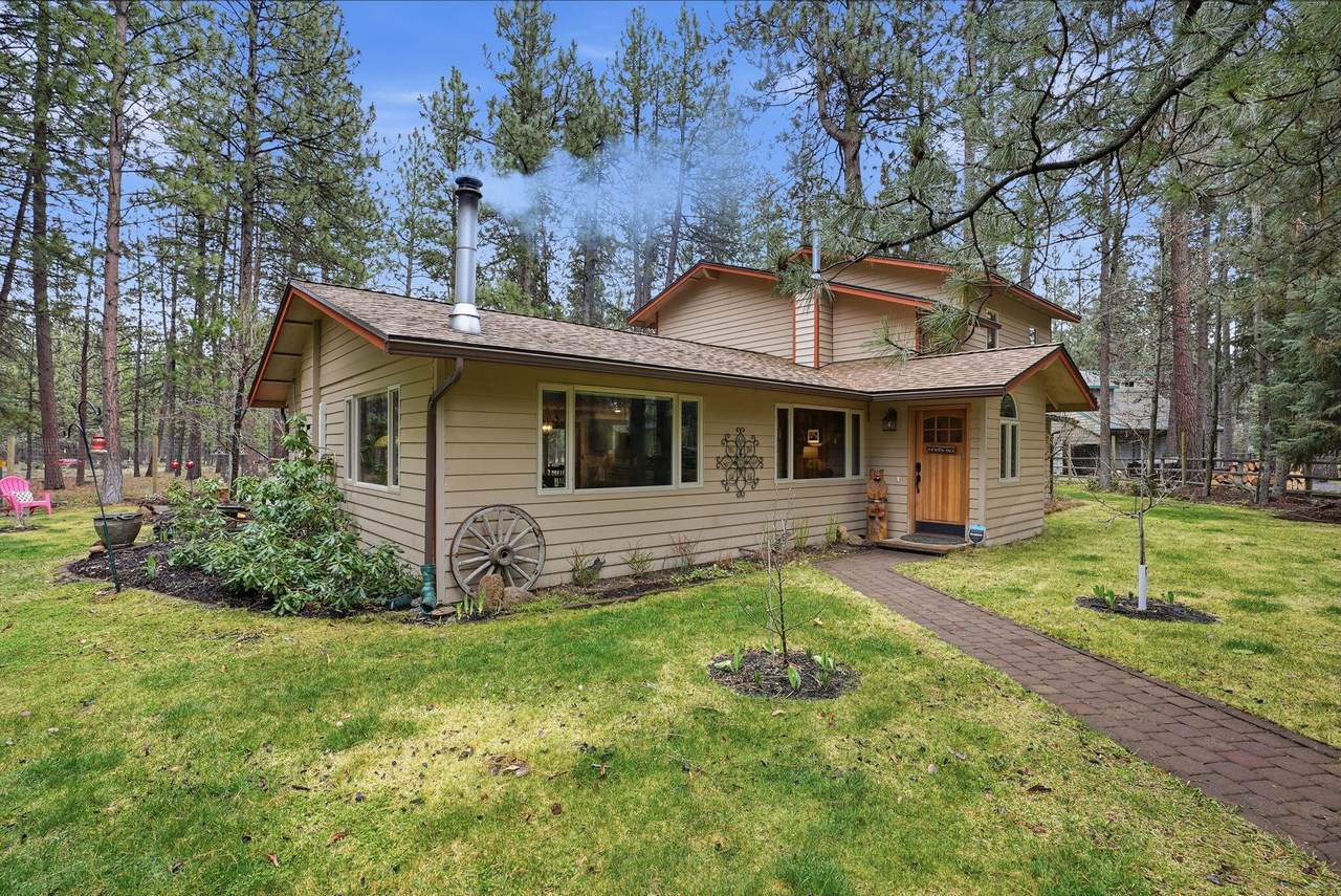 14987 Buggy Whip - Photo 1
