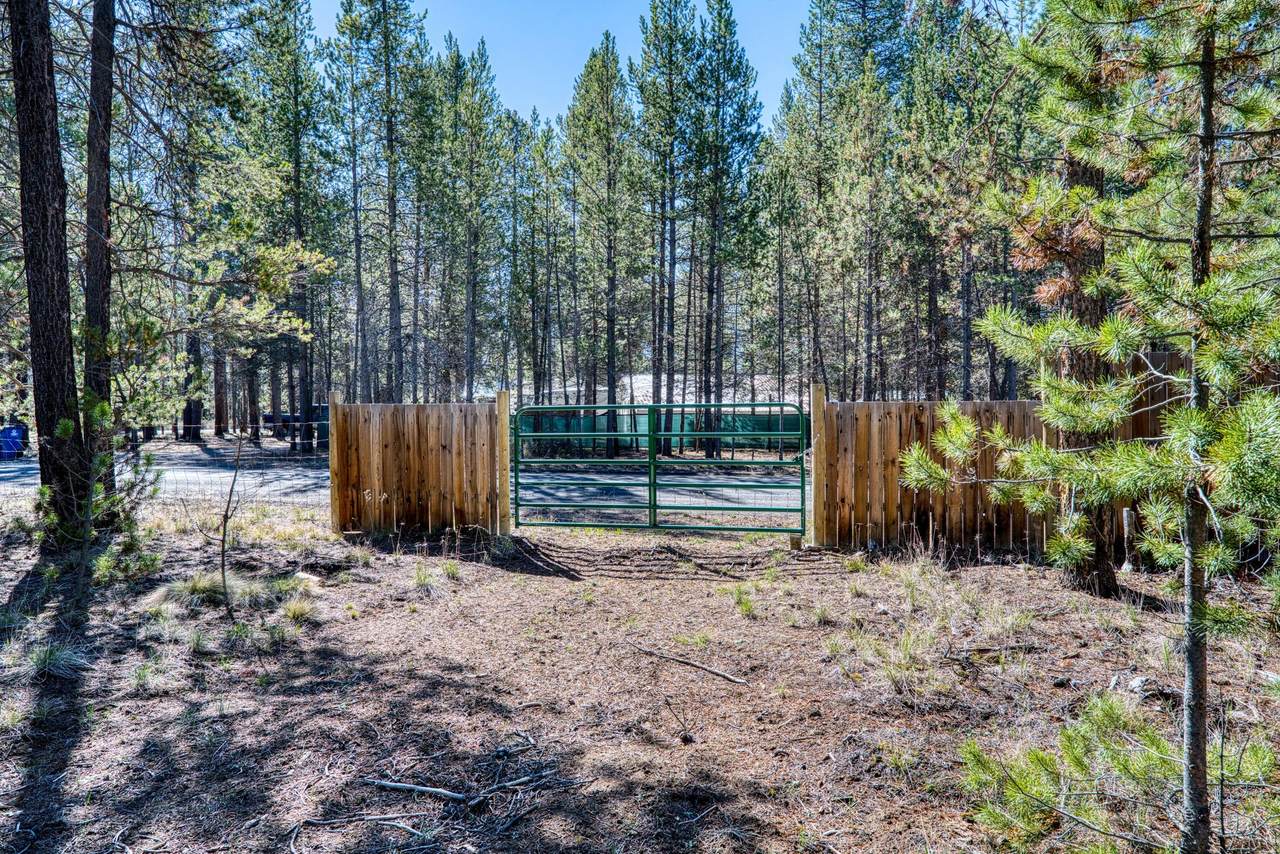 0 Pine Crest Lane - Photo 1