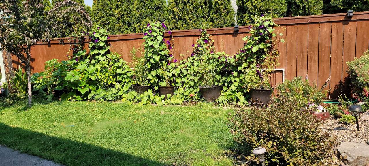 https://bt-photos.global.ssl.fastly.net/coar/1280_boomver_1_220218720-2.jpg