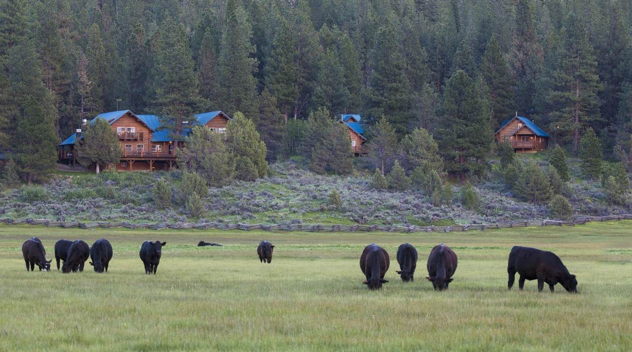 0 Fishhole Creek Road - Photo 1