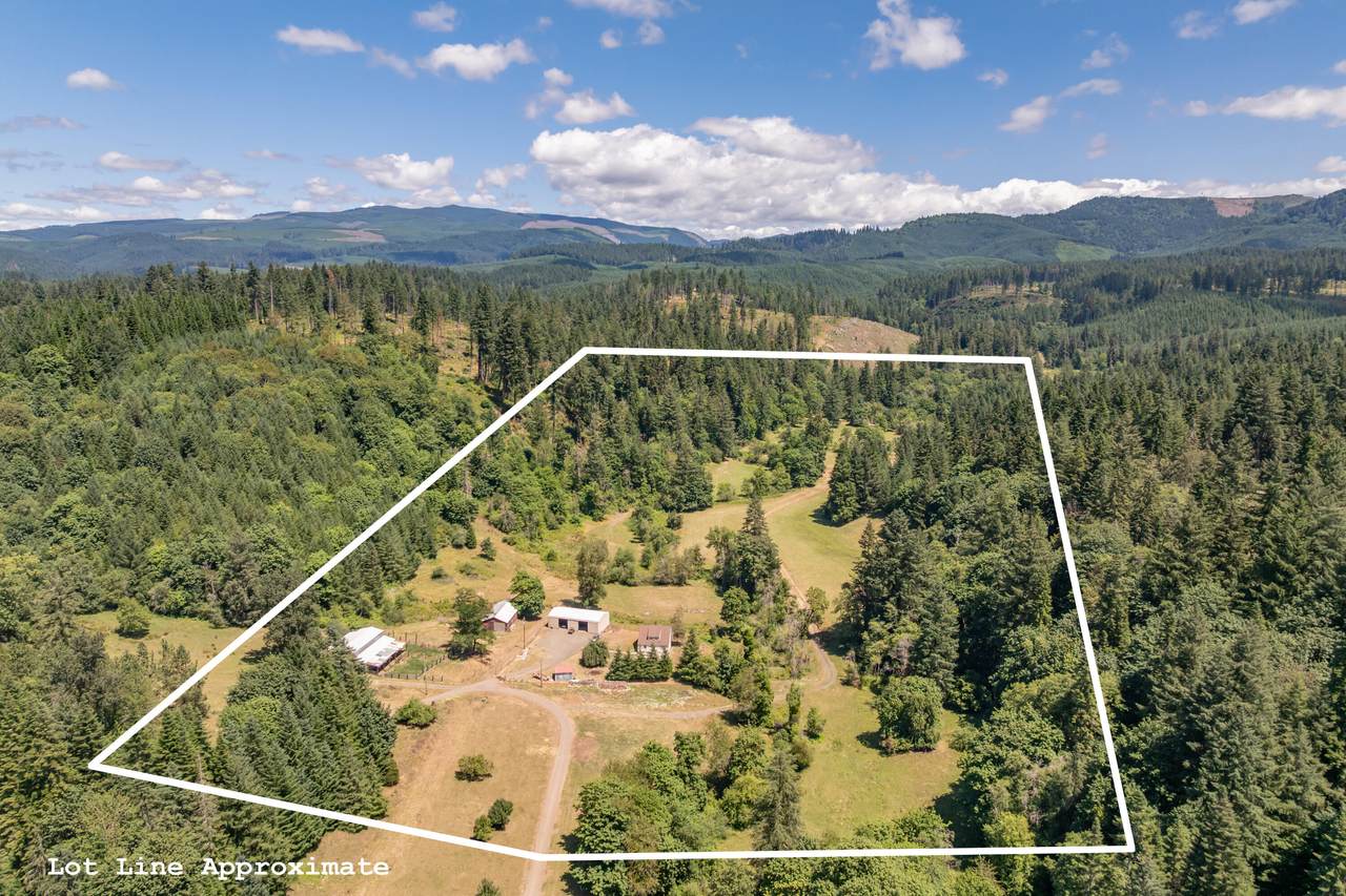42051 Clark Smith Drive - Photo 1