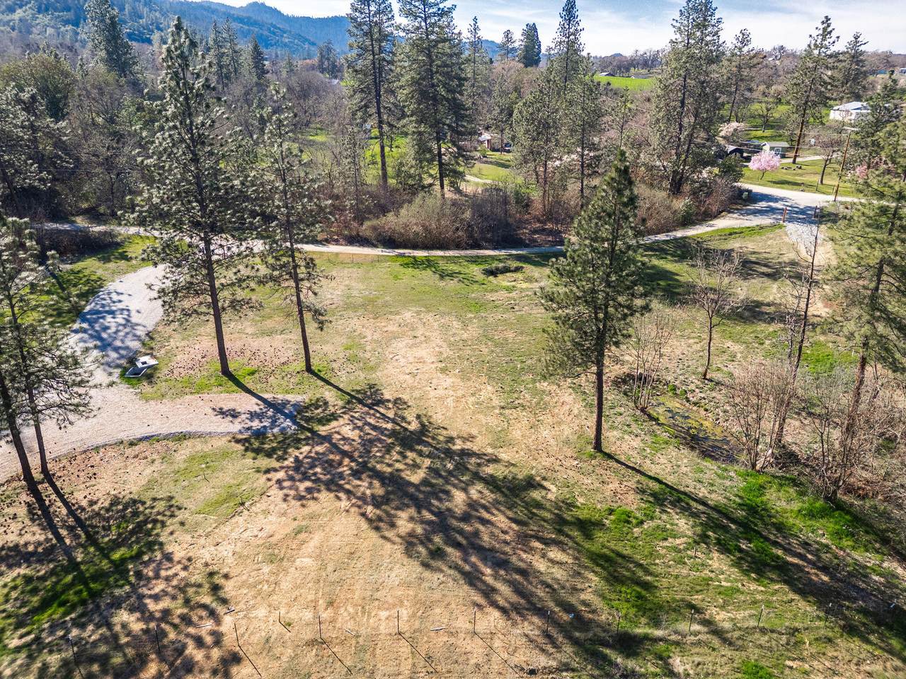 5025 Lane Creek Road - Photo 1