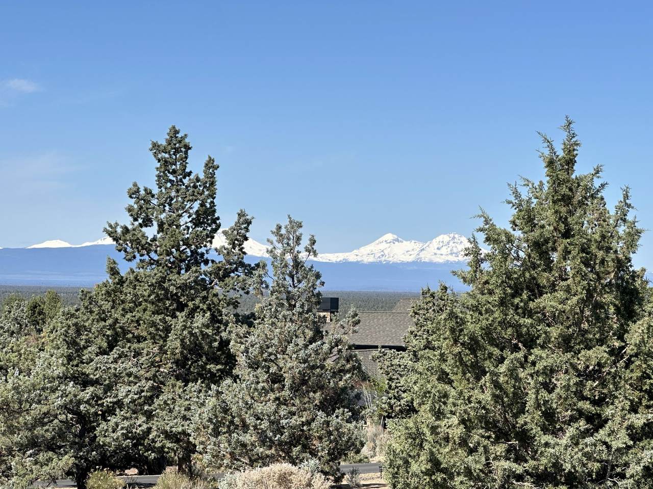 https://bt-photos.global.ssl.fastly.net/coar/1280_boomver_1_220220108-2.jpg