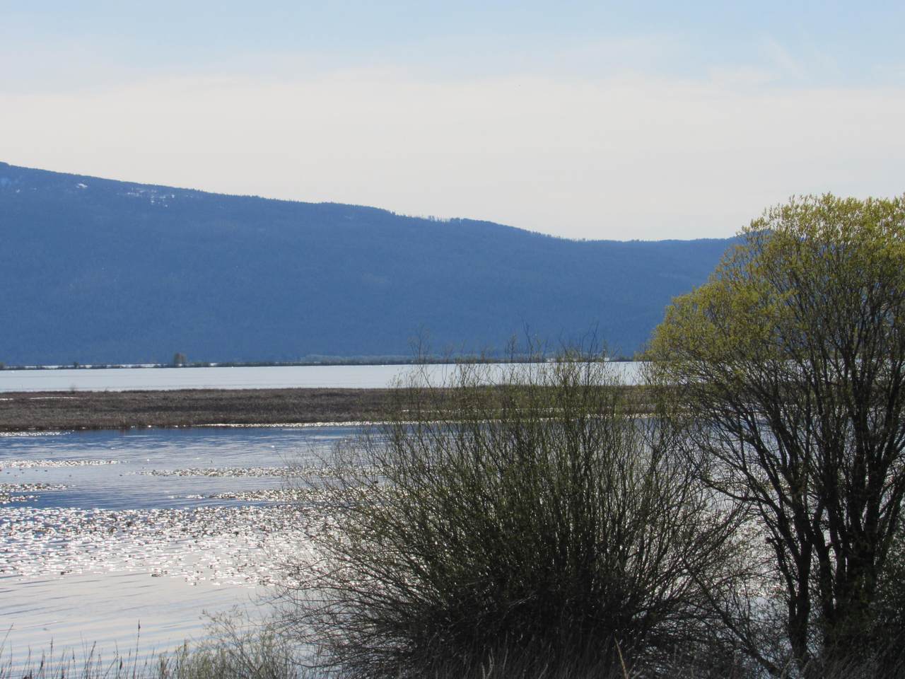 https://bt-photos.global.ssl.fastly.net/coar/1280_boomver_1_220220130-2.jpg