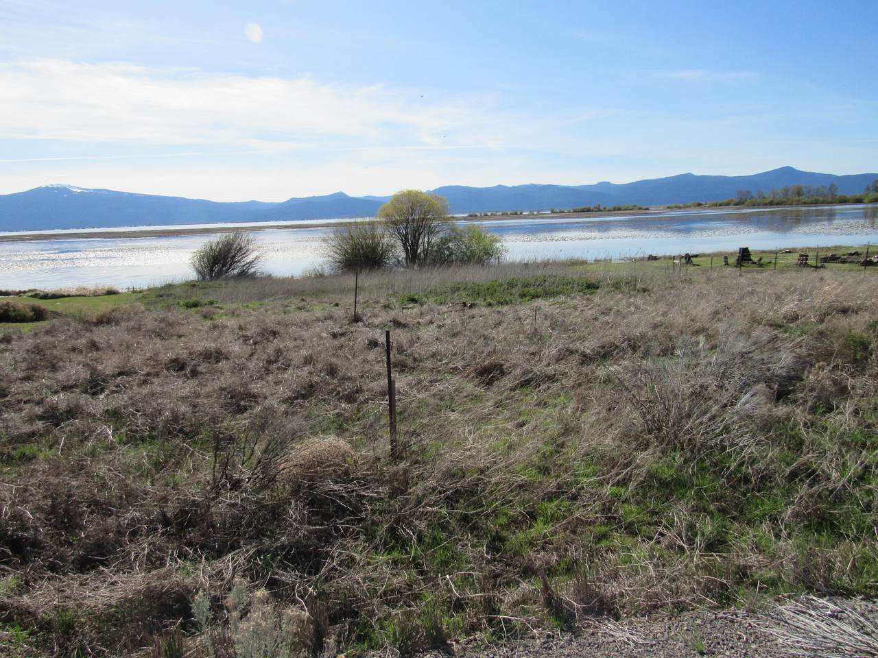 https://bt-photos.global.ssl.fastly.net/coar/1280_boomver_1_220220130-2.jpg