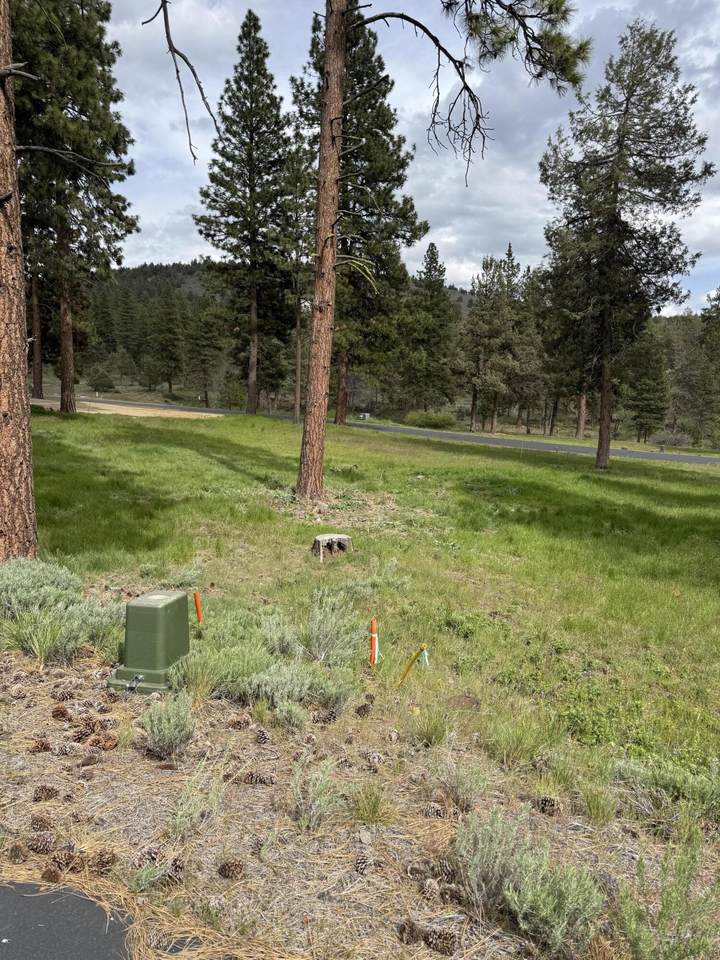 1075 Timber Ridge Loop - Photo 1