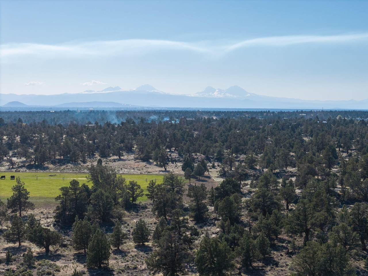 25606 Alfalfa Market Road - Photo 1