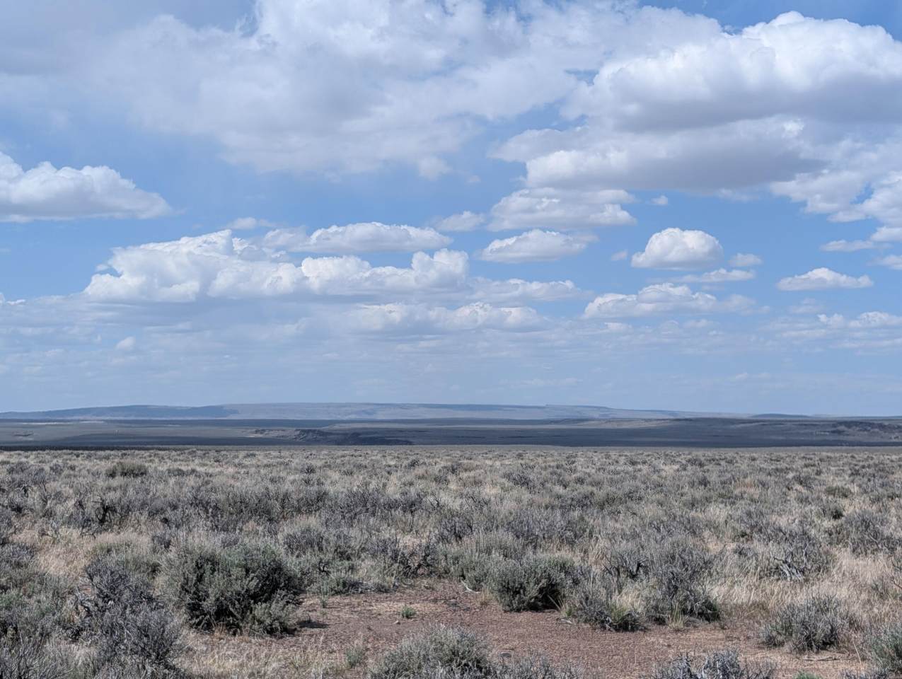  Black Canyon Road - Photo 1