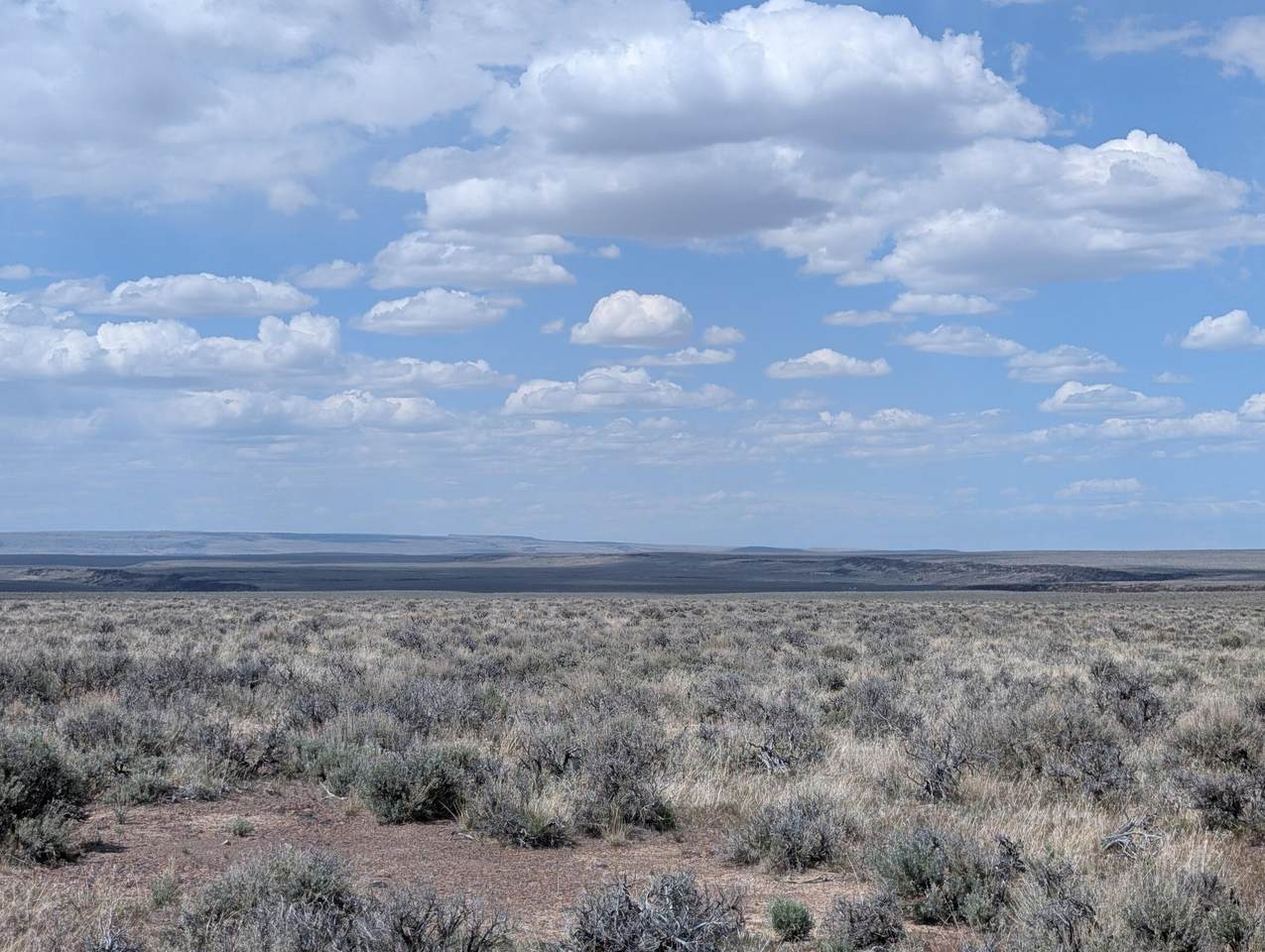 https://bt-photos.global.ssl.fastly.net/coar/1280_boomver_1_220220825-2.jpg