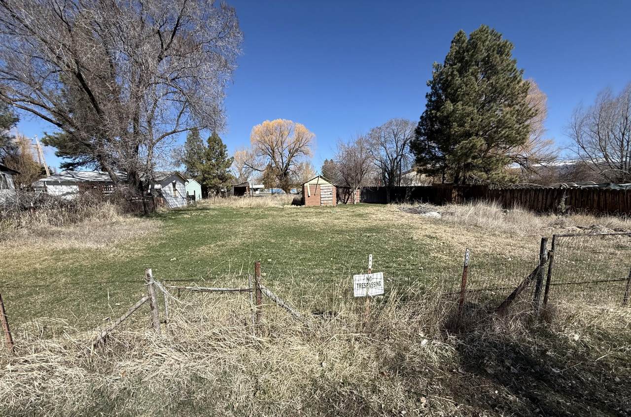 61339 Edsall Street - Photo 1