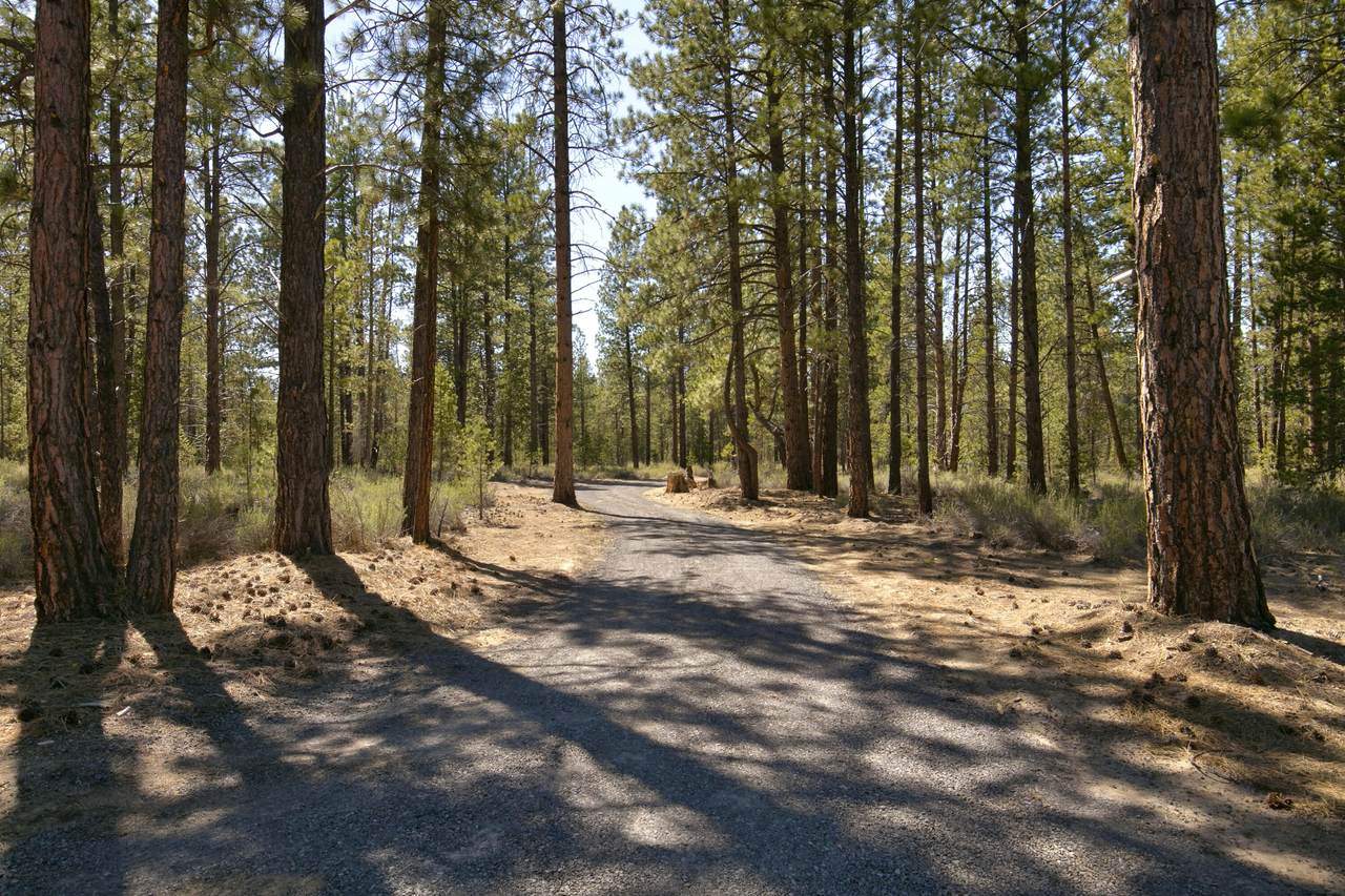 50750 Deer Forest Drive - Photo 1