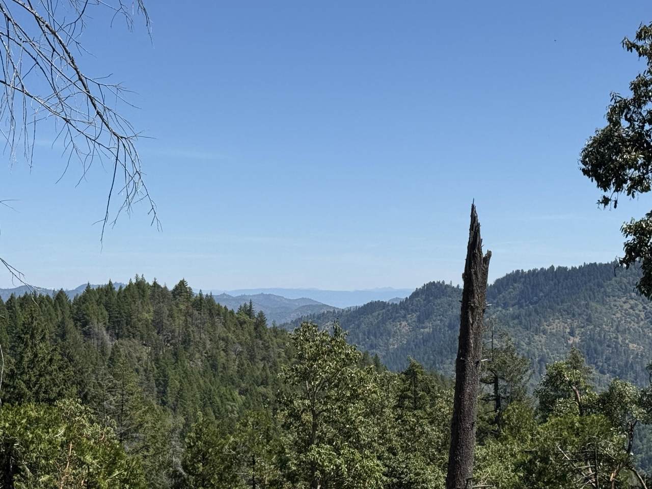 0 Savage Creek - Photo 1
