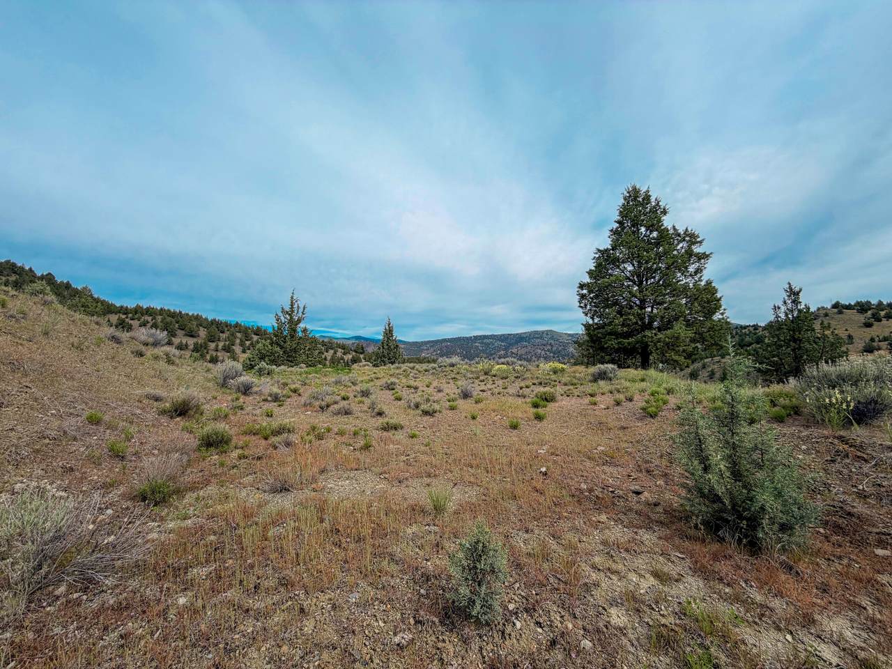  Luce Creek Road - Photo 1