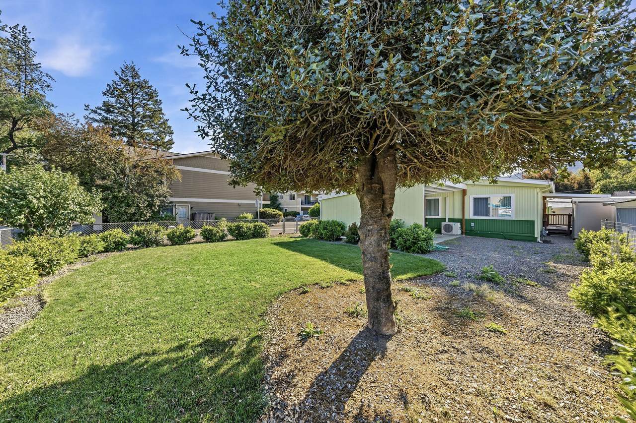 203 Park Street - Photo 1