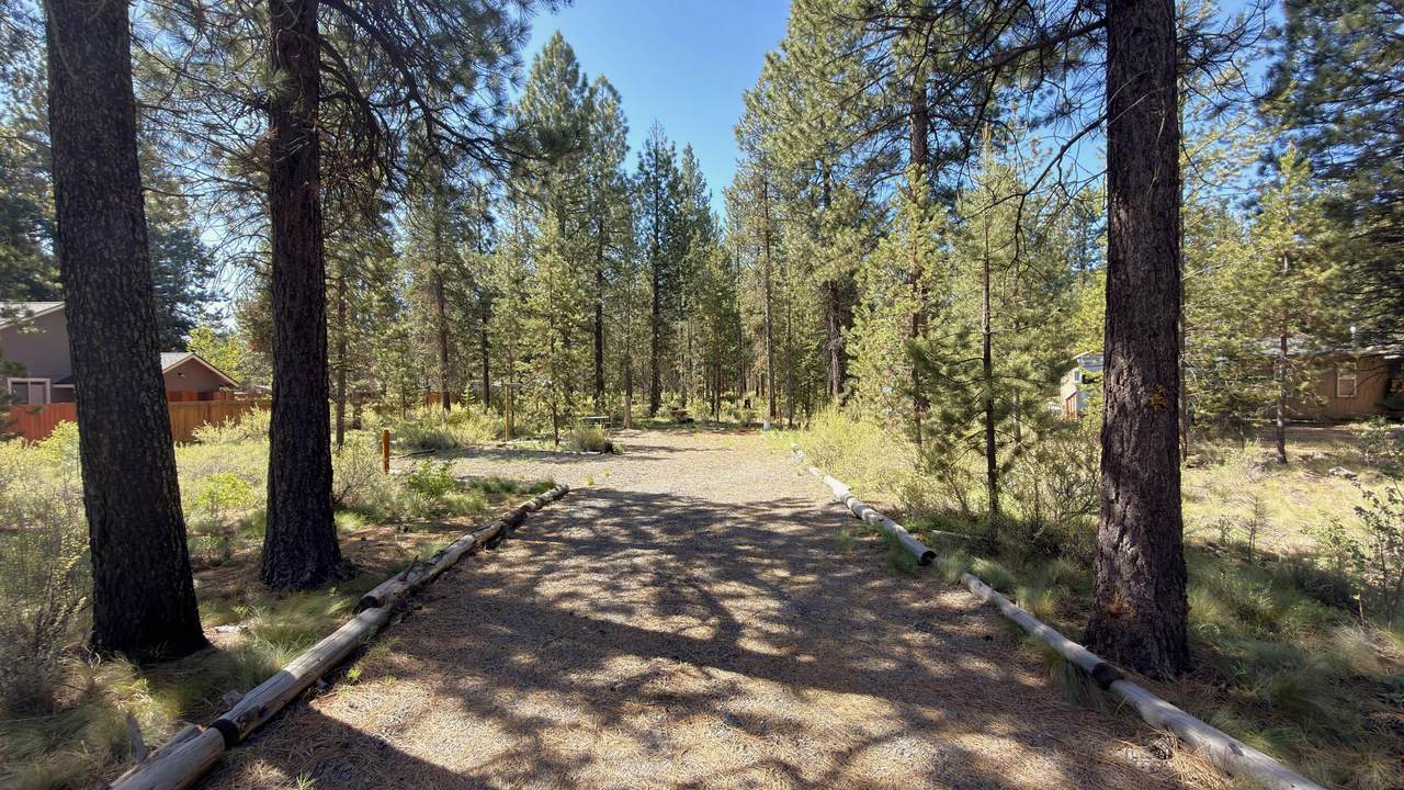 16999 Jacinto Road - Photo 1