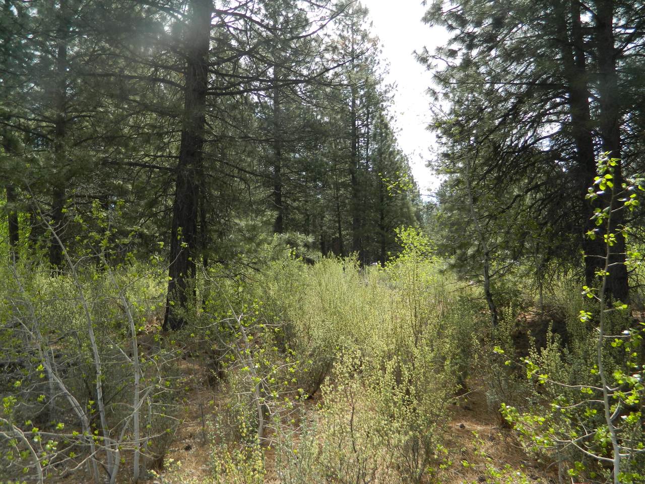 https://bt-photos.global.ssl.fastly.net/coar/1280_boomver_1_220221618-2.jpg