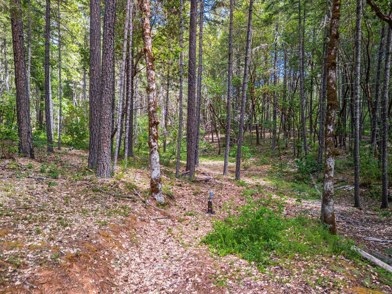 https://bt-photos.global.ssl.fastly.net/coar/1280_boomver_1_220221838-2.jpg
