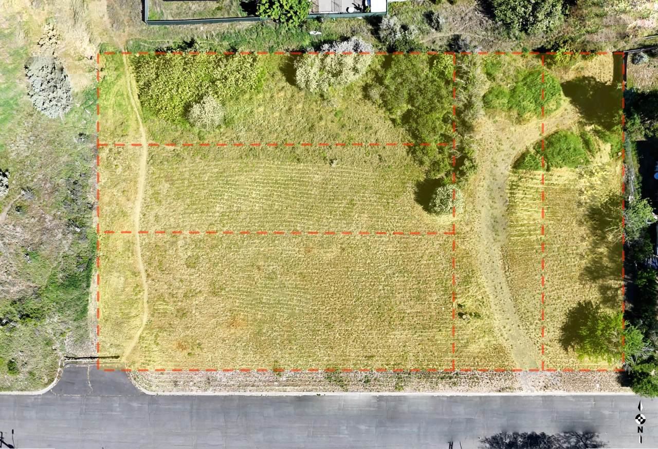 437 Trinity Street - Photo 1