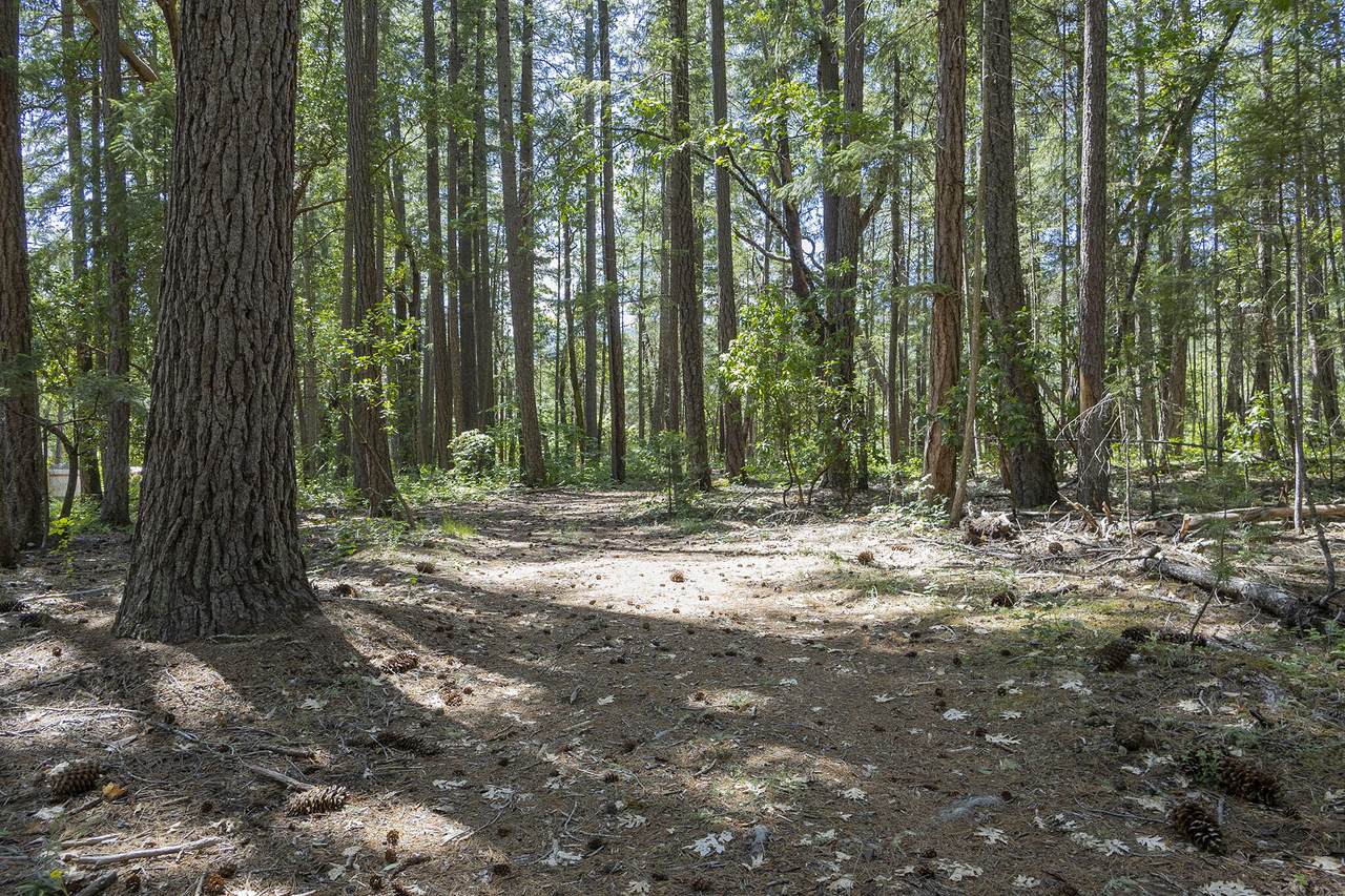 401 China Creek Road - Photo 1