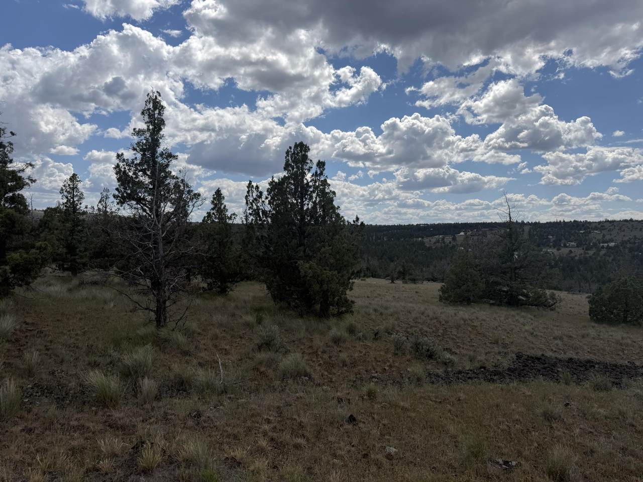 14587 Sharps Road - Photo 1
